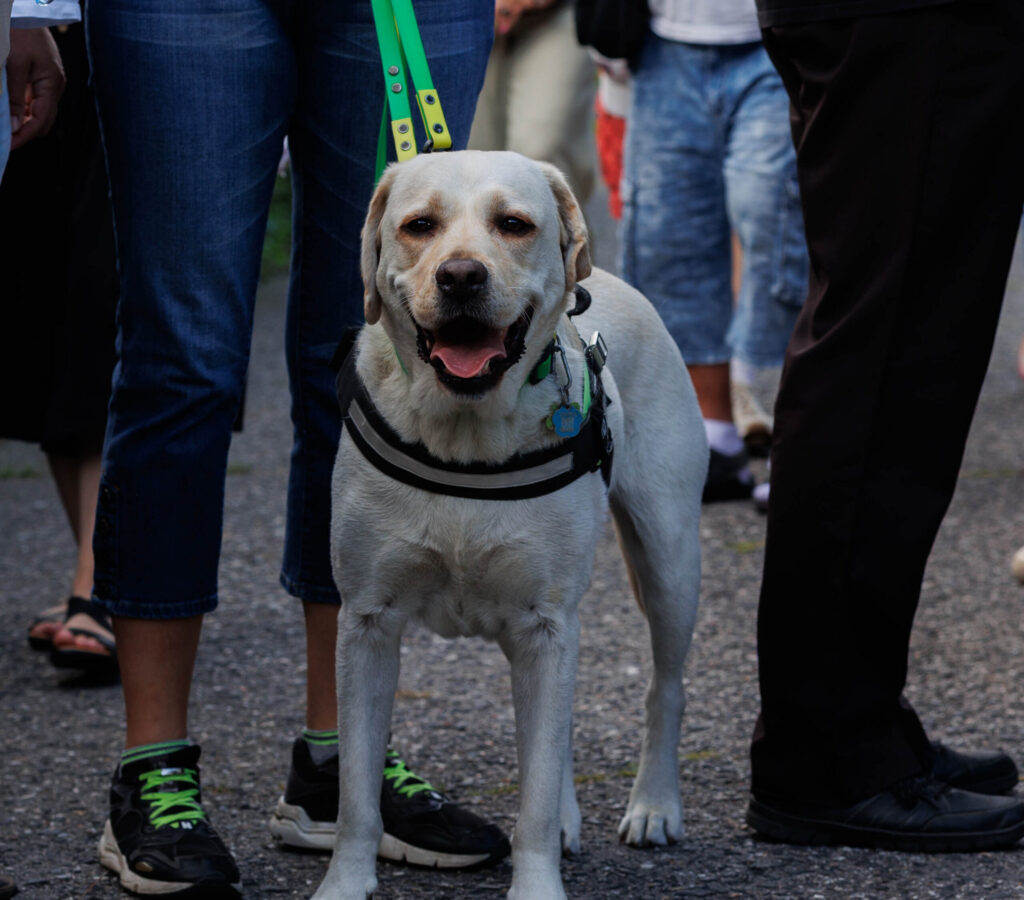 Spirala zmysłów 10-09-2025 (77 z 151) spacer dotykowy (6) Uczestnicy spaceru dotykowego w Ogrodzie Botanicznym w Łodzi poznają rośliny przez dotyk.